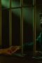 Nonton Film Yu Yu Hakusho Season 1 Episode 4 Terbaru Nonton Film Yu Yu Hakusho Season 1 Episode 4 Terbaru