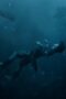 Nonton Film South Sea Tomb Season 1 Episode 16 Terbaru