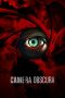 Nonton Film Camera Obscura (2017) Terbaru Nonton Film Camera Obscura (2017) Terbaru